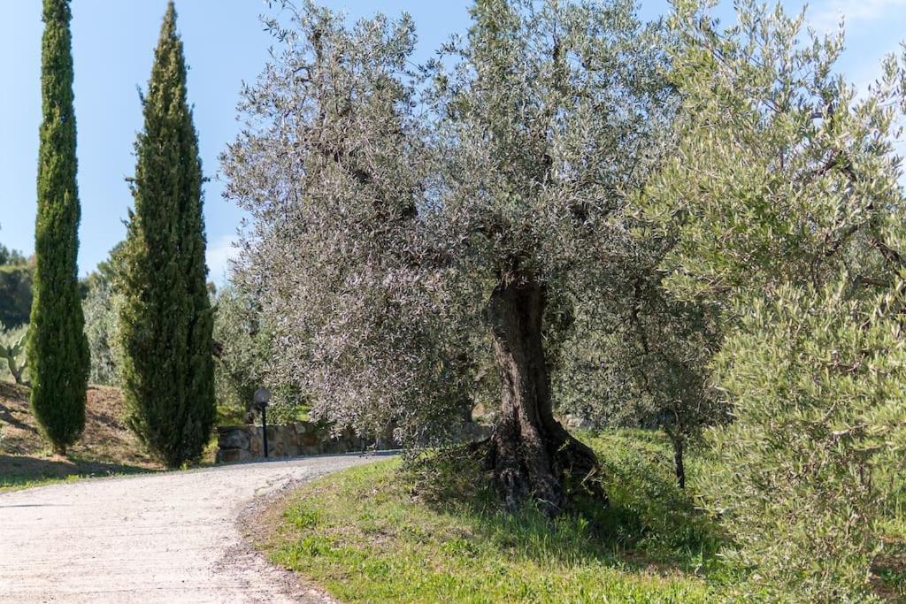 Agriturismo De Santis Кастильончелло Экстерьер фото