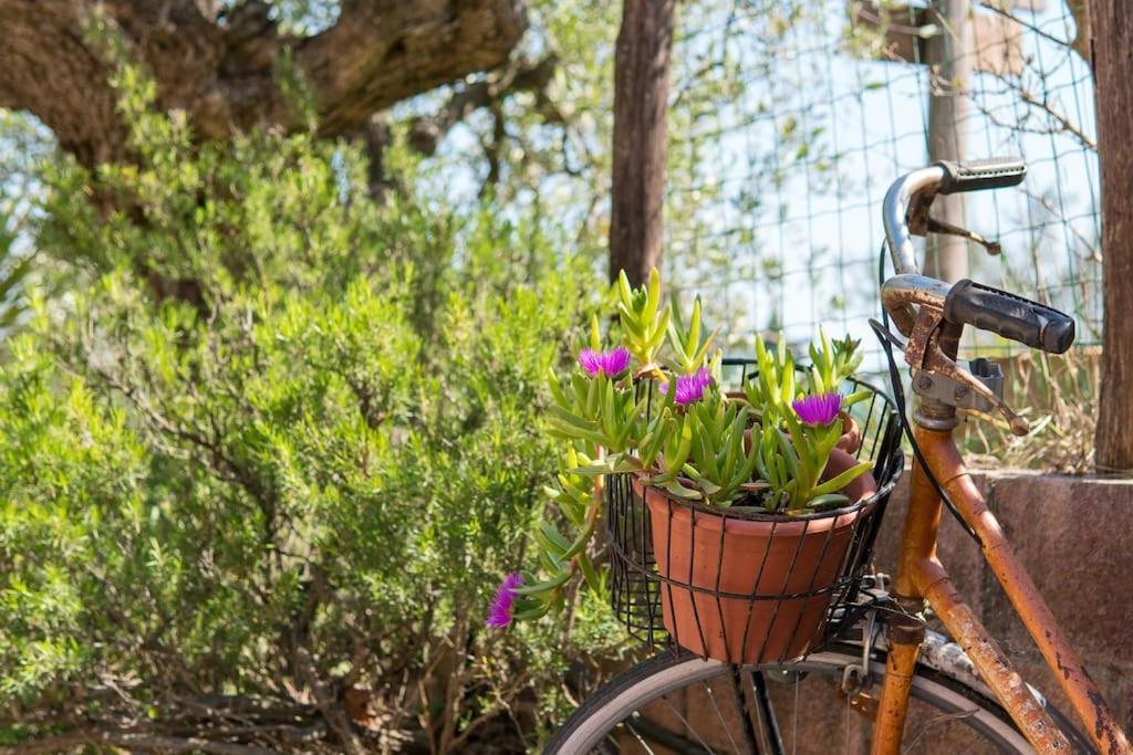 Agriturismo De Santis Кастильончелло Экстерьер фото