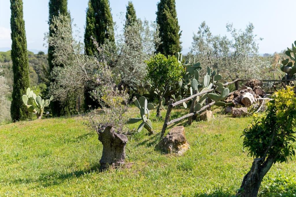 Agriturismo De Santis Кастильончелло Экстерьер фото