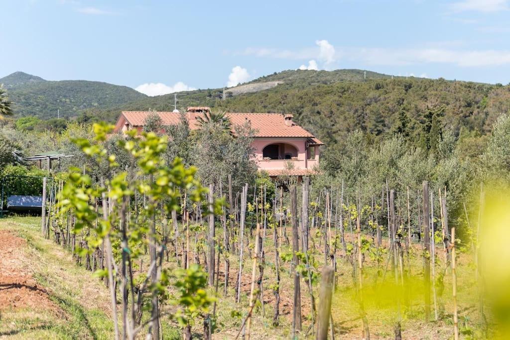 Agriturismo De Santis Кастильончелло Экстерьер фото