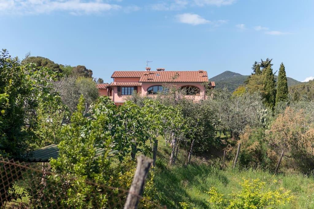 Agriturismo De Santis Кастильончелло Экстерьер фото