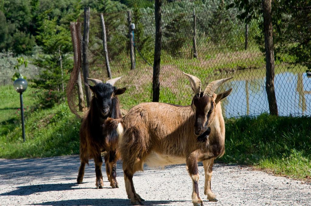 Agriturismo De Santis Кастильончелло Экстерьер фото